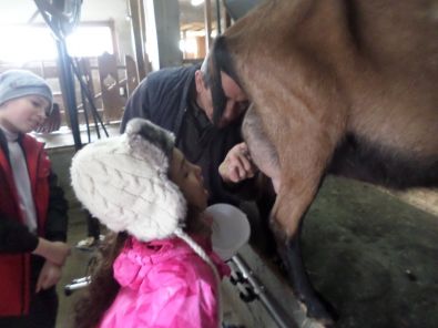 SAM_1511.JPG, mar. 2015