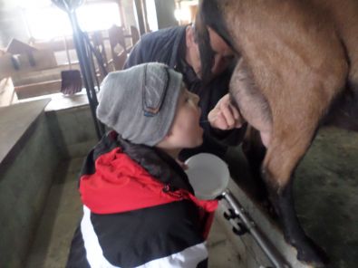 SAM_1513.JPG, mar. 2015