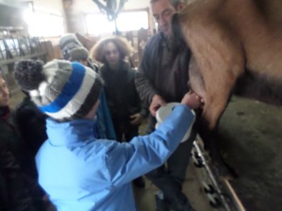 SAM_1529.JPG, mar. 2015