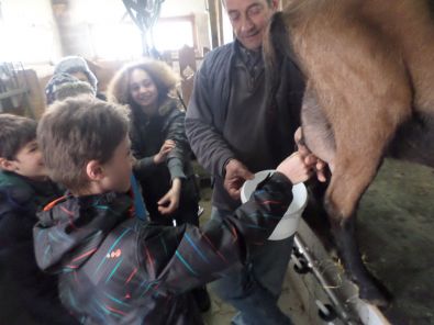 SAM_1533.JPG, mar. 2015