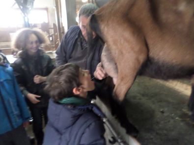 SAM_1536.JPG, mar. 2015