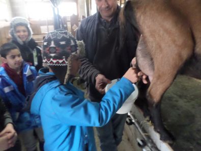 SAM_1537.JPG, mar. 2015