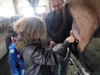 SAM_1539.JPG, mar. 2015