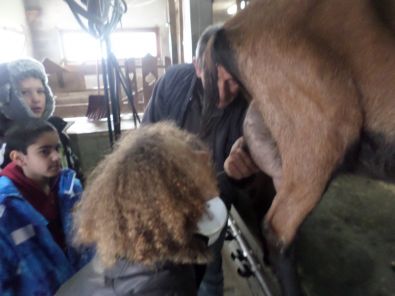 SAM_1540.JPG, mar. 2015