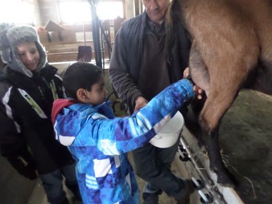 SAM_1541.JPG, mar. 2015