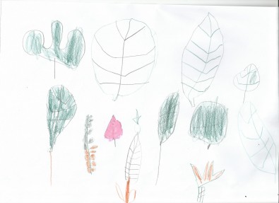 feuiilles-anto-stevia.jpg