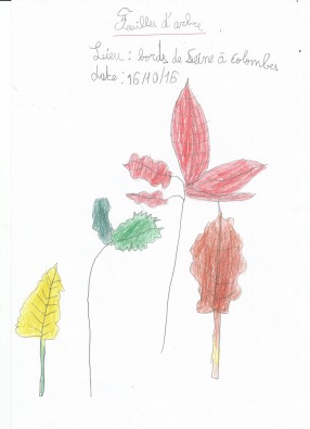 feuiilles-bernard.jpg