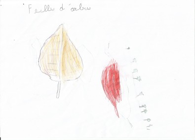 feuiilles-chaymae.jpg