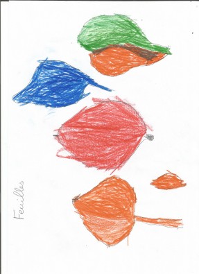 feuilles-Jules.jpg
