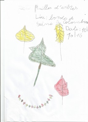 feuilles2.jpg