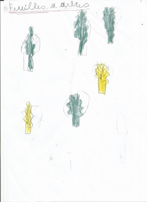 feuilles3.jpg