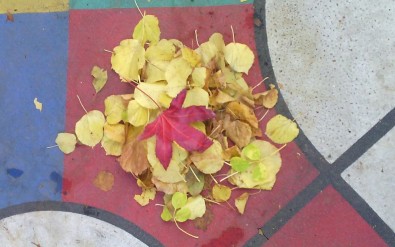IMG_20161115_133641.jpg