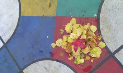 IMG_20161115_133647.jpg