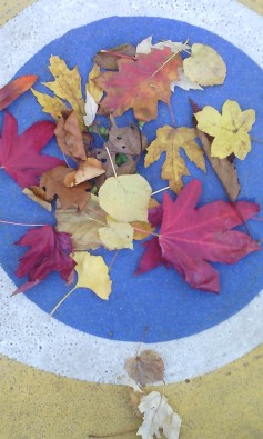IMG_20161115_134553.jpg