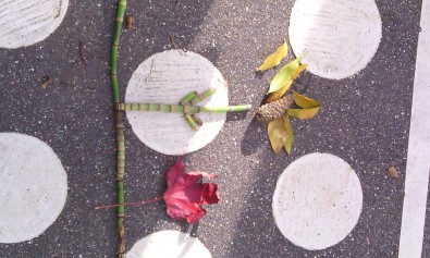 IMG_20161115_134741.jpg