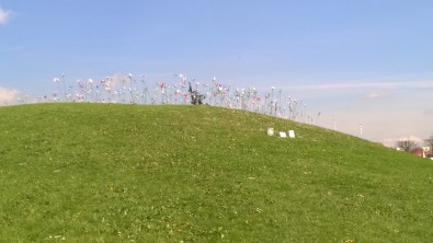 WP_20160414_002.jpg