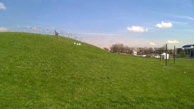 WP_20160414_003.jpg