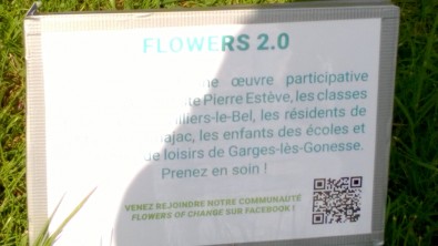 WP_20160414_008.jpg