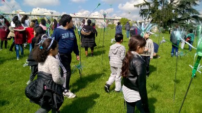 WP_20160414_009.jpg