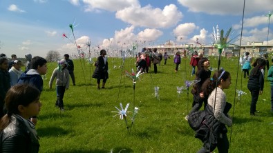 WP_20160414_010.jpg