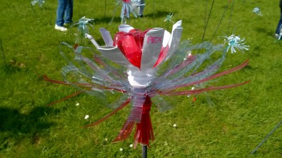 WP_20160414_011.jpg