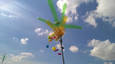WP_20160414_014.jpg