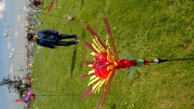 WP_20160414_015.jpg