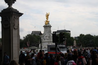 IMG_9853.jpg