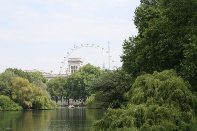 IMG_9878.jpg