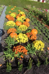 IMG_1058.JPG