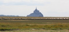 IMG_3137.JPG