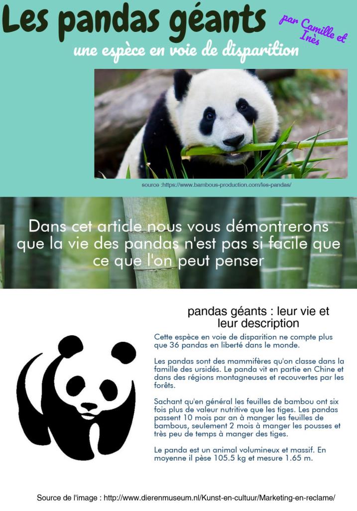 Panda_Camille_et_Ines.jpeg