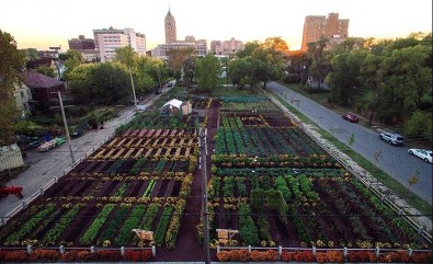 Detroit_-_Agriculture_urbaine.jpg