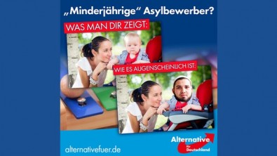 afd_bild_Montage.jpg