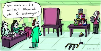 wut_wahlen.jpg