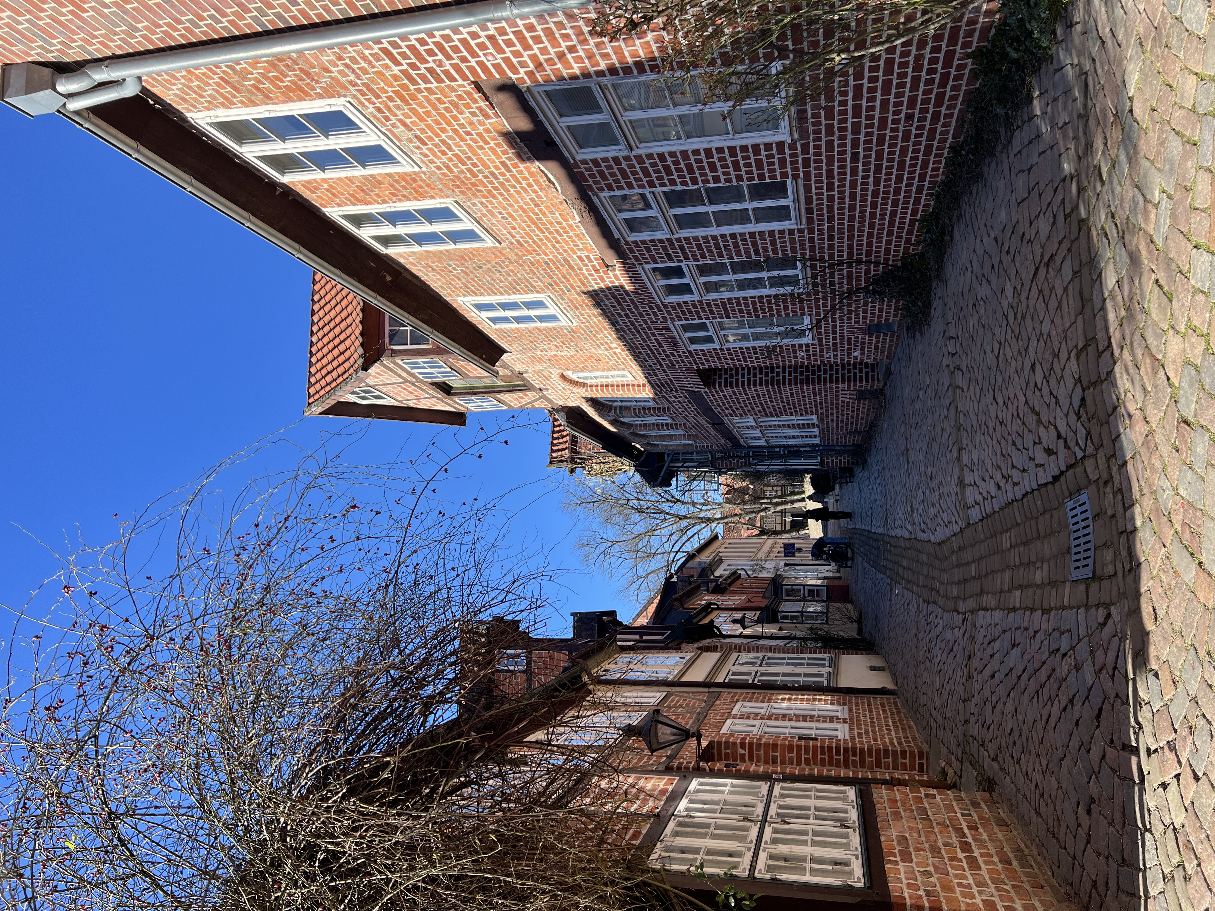 IMG_0377.jpeg