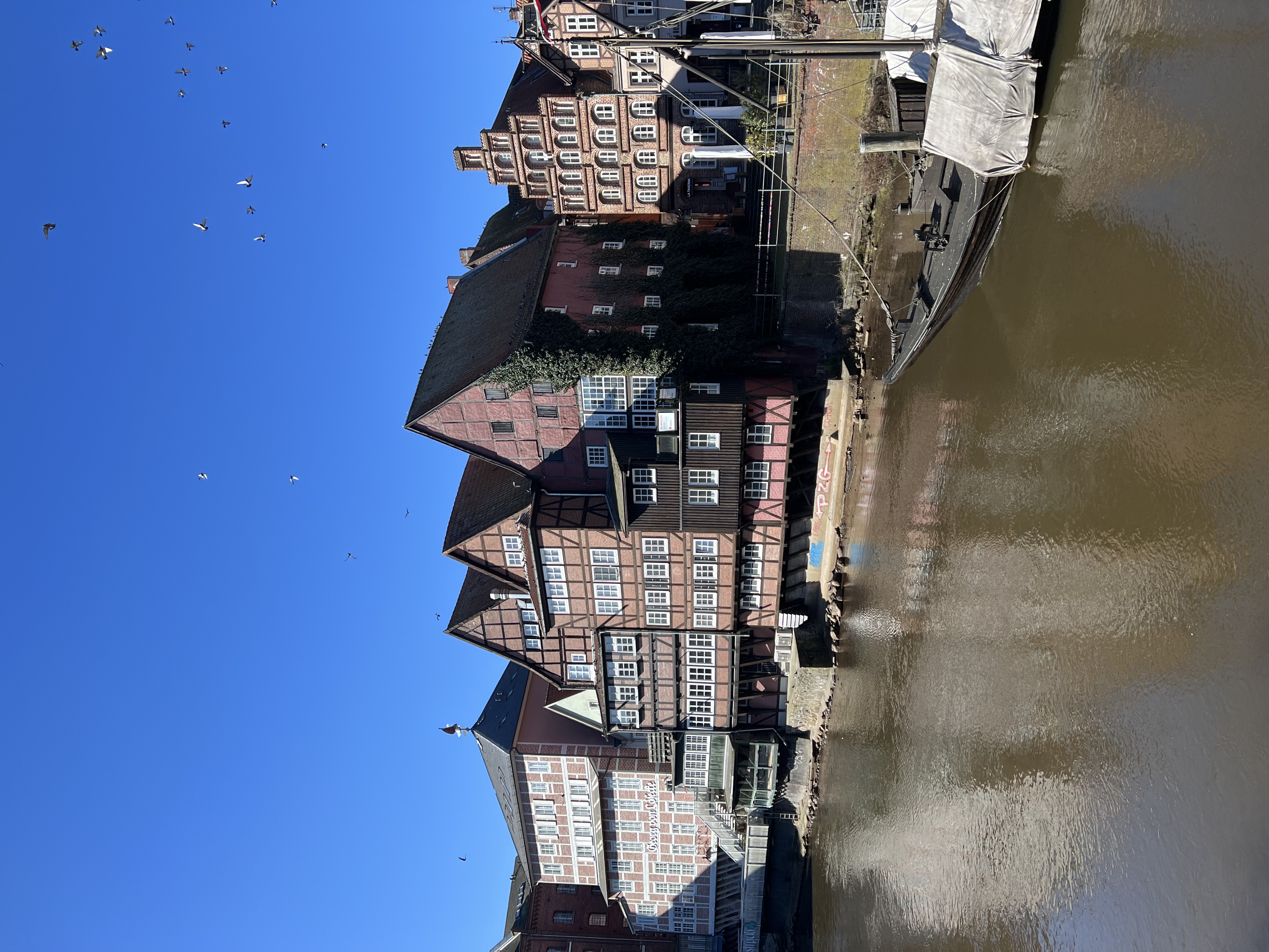 IMG_0390.jpeg
