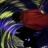 IMG_0518.jpeg