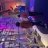 IMG_0533.jpeg