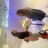 IMG_5425.jpeg