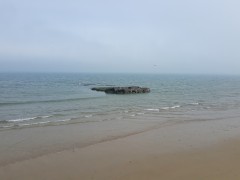 20190417_115112.jpg