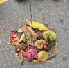 IMG-20211012-WA0005.jpg