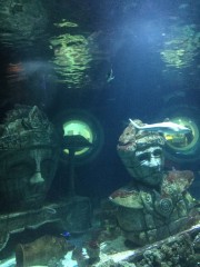 IMG_0076.JPG