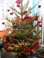 Le_sapin_dec_2016.jpg