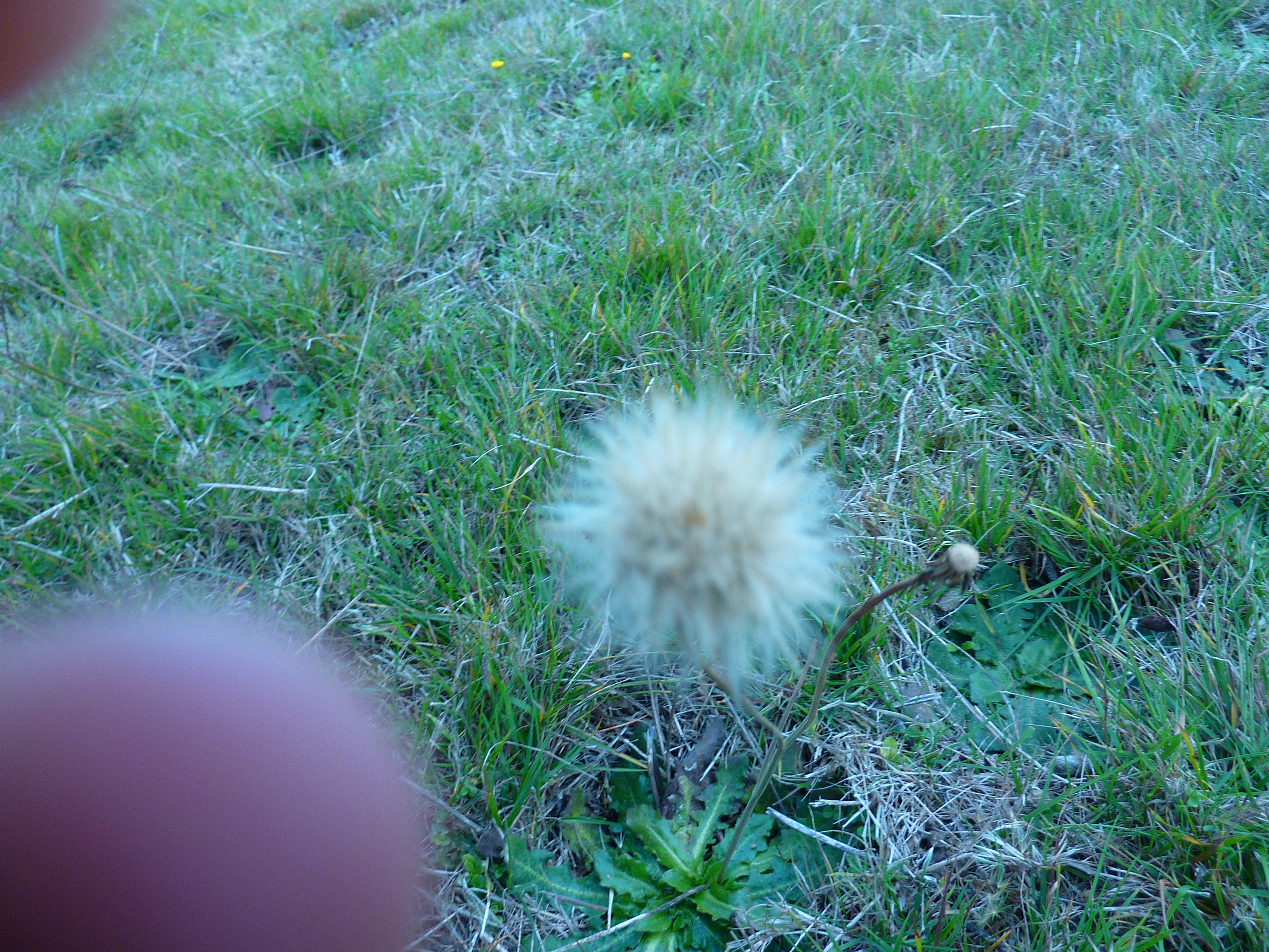 P1000882.JPG