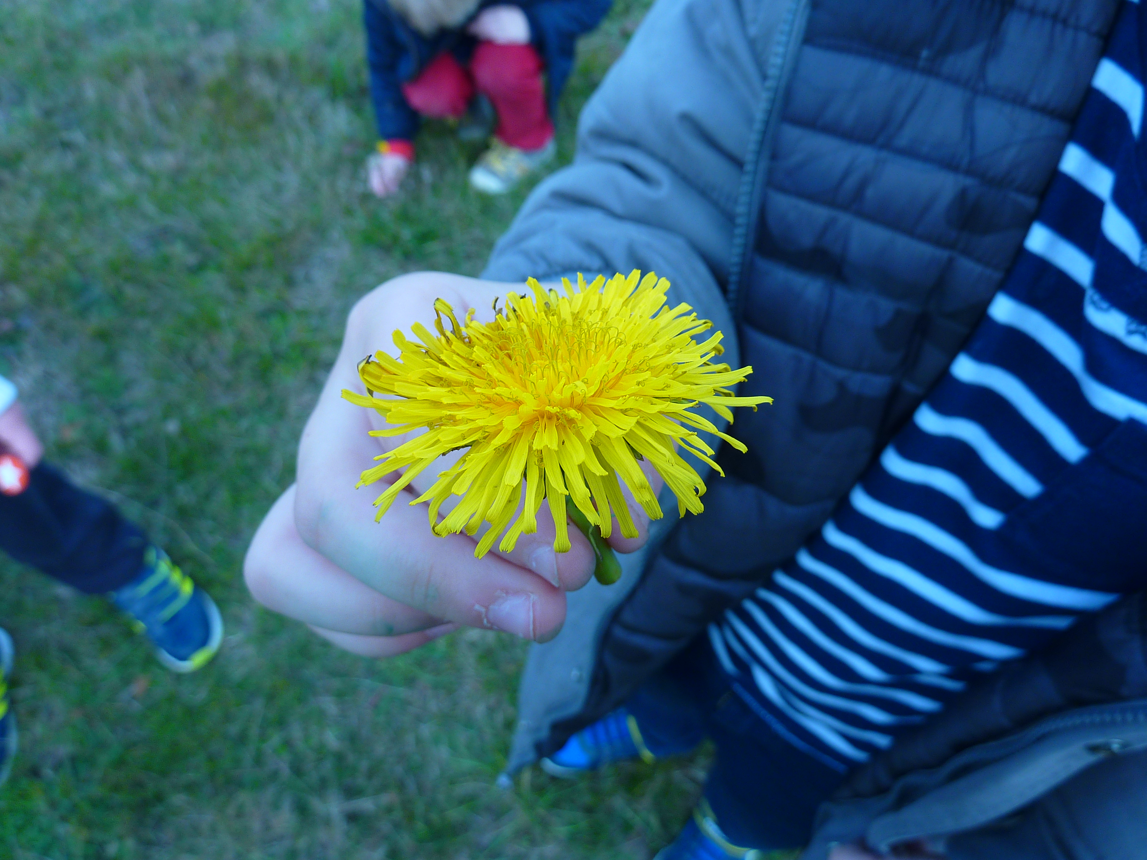 P1000892.JPG
