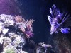 IMG_3440.jpeg