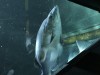 IMG_3443.jpeg