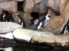 IMG_3481.jpeg