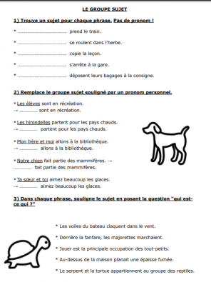 sujet cm1.PNG